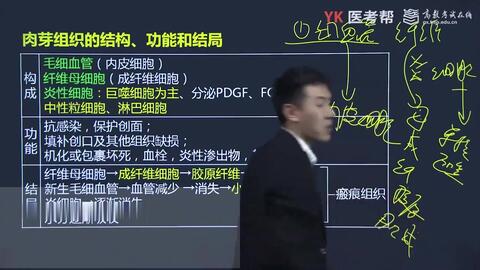 徐琦病理学最新研究进展及其深远影响