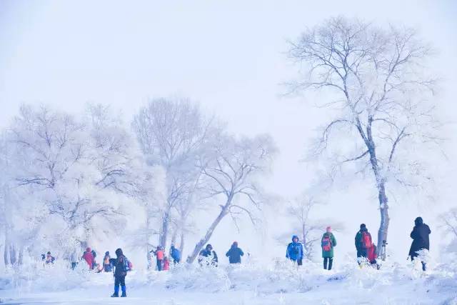 东北雪的新篇章，冬日盛宴的盛况与变迁