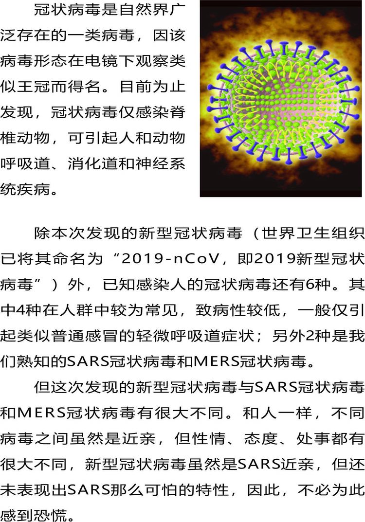 逛幢病毒，了解、预防与应对策略